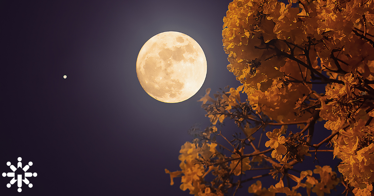Honouring the September Equinox Through Indigenous Teachings in Treaty 7 Territory